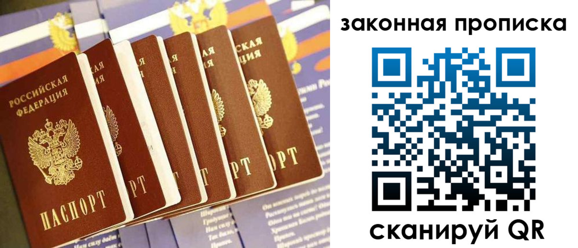 временная регистрация в Кингисеппе
