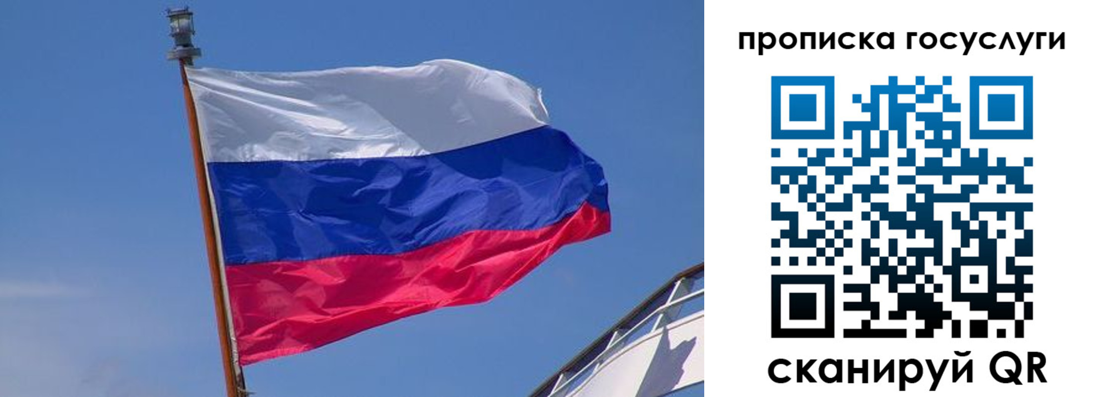 временная регистрация купить в Кингисеппе